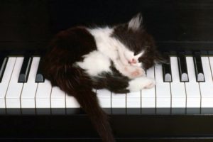 Música clásica para dormir ¿funciona? La ciencia detrás