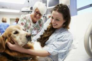 El Papel de los Animales en la Terapia y Recuperación